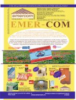 Catalog 12