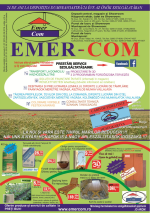 Catalog 9